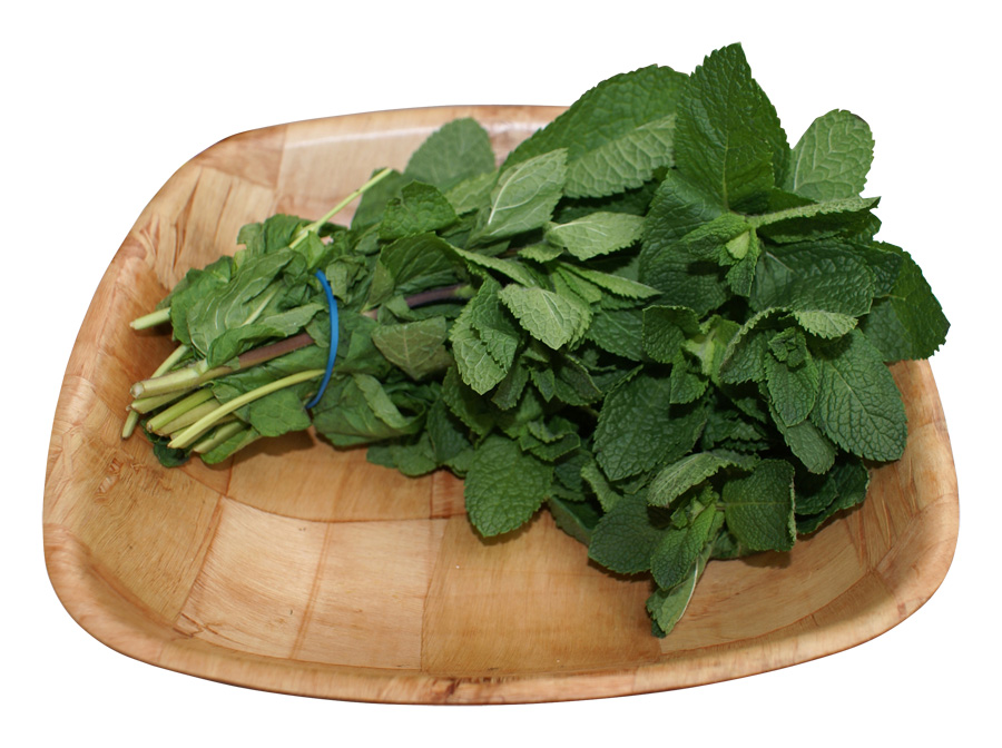 Fresh Mint Bunch