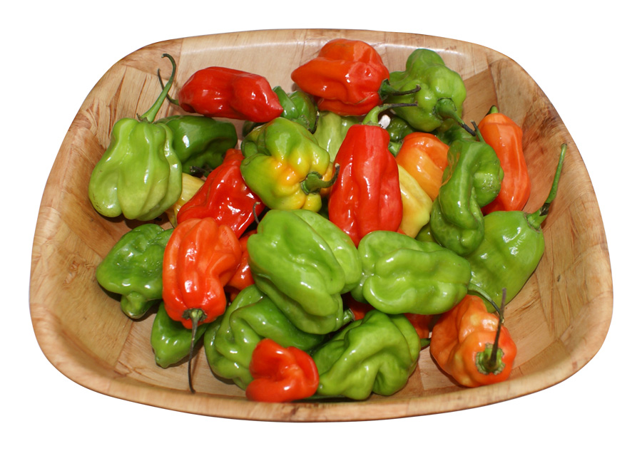 Fresh Scotch Bonnet Chillies 250g