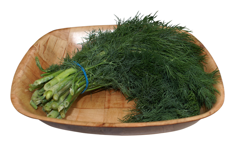 Fresh Dill (Suva Bhaji) Bunch